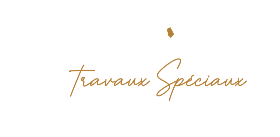 Logo Héxagône TS mode sombre