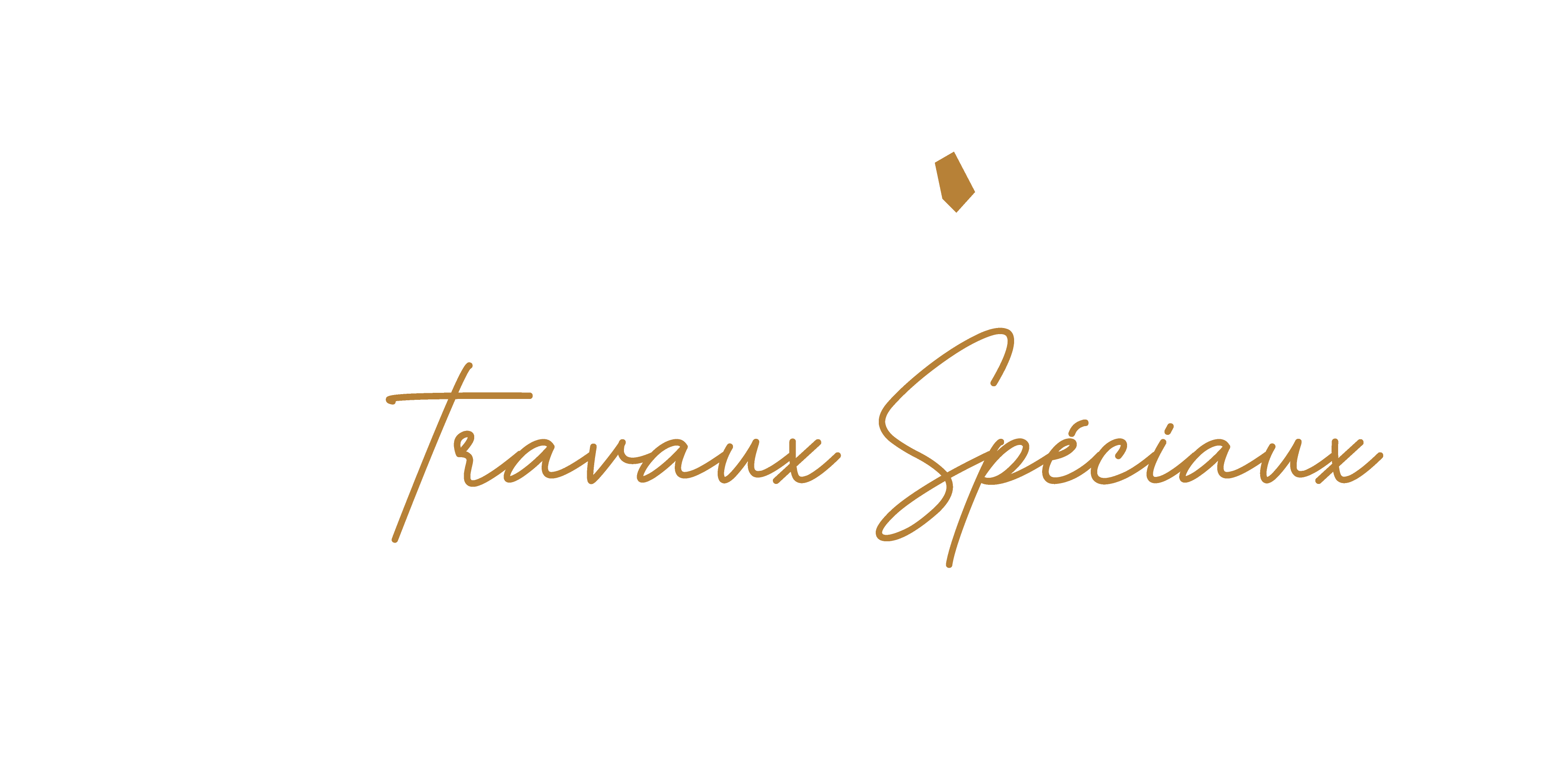 Logo HEXAgone Travaux Spéciaux